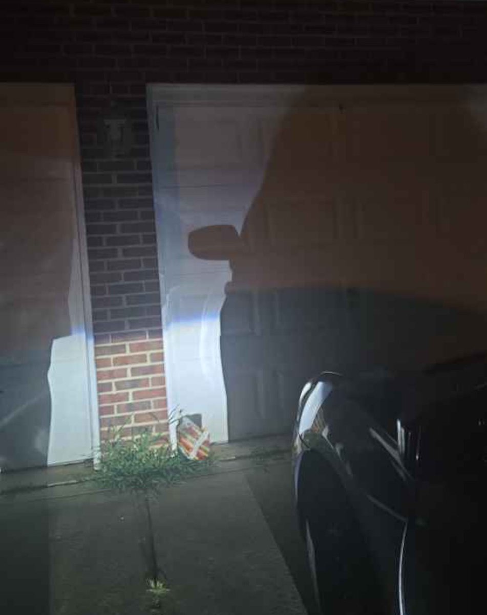 NEPHEWRXK's tweet image. Door dash put my food in front the garage nd raccoons got it ! Say less ! Iight