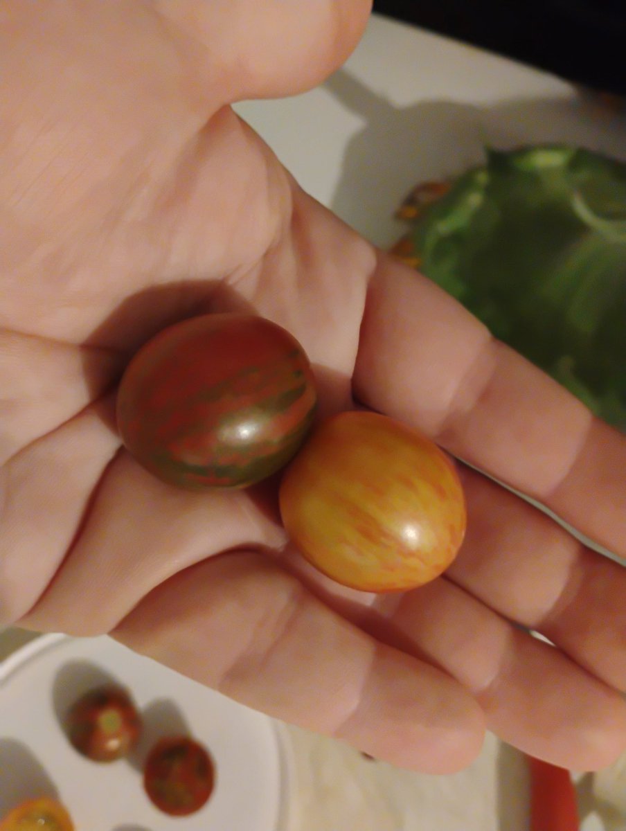 Orbital_Lexicon's tweet image. I don't even remember what variety these are, but they taste amazing and have a really cool aesthetic.