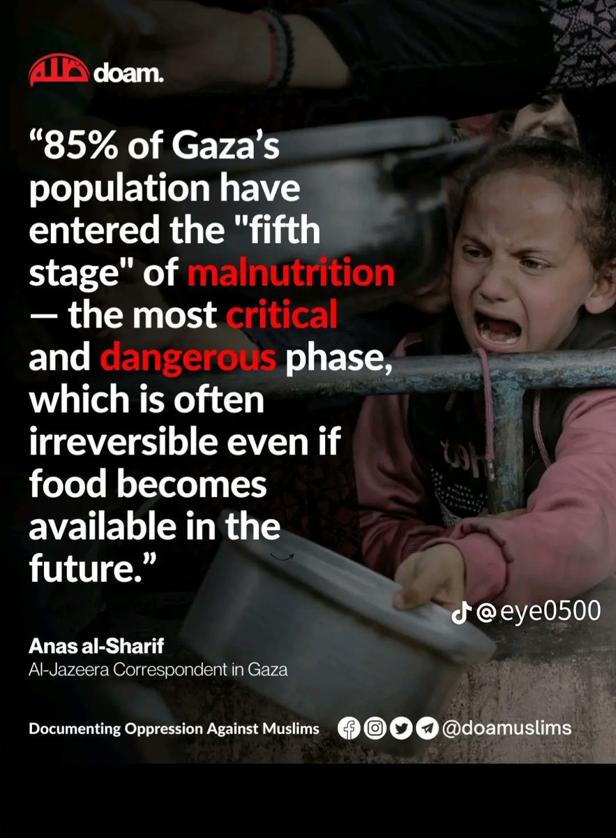 #GenocidioEnGaza 
#StarvingGaza