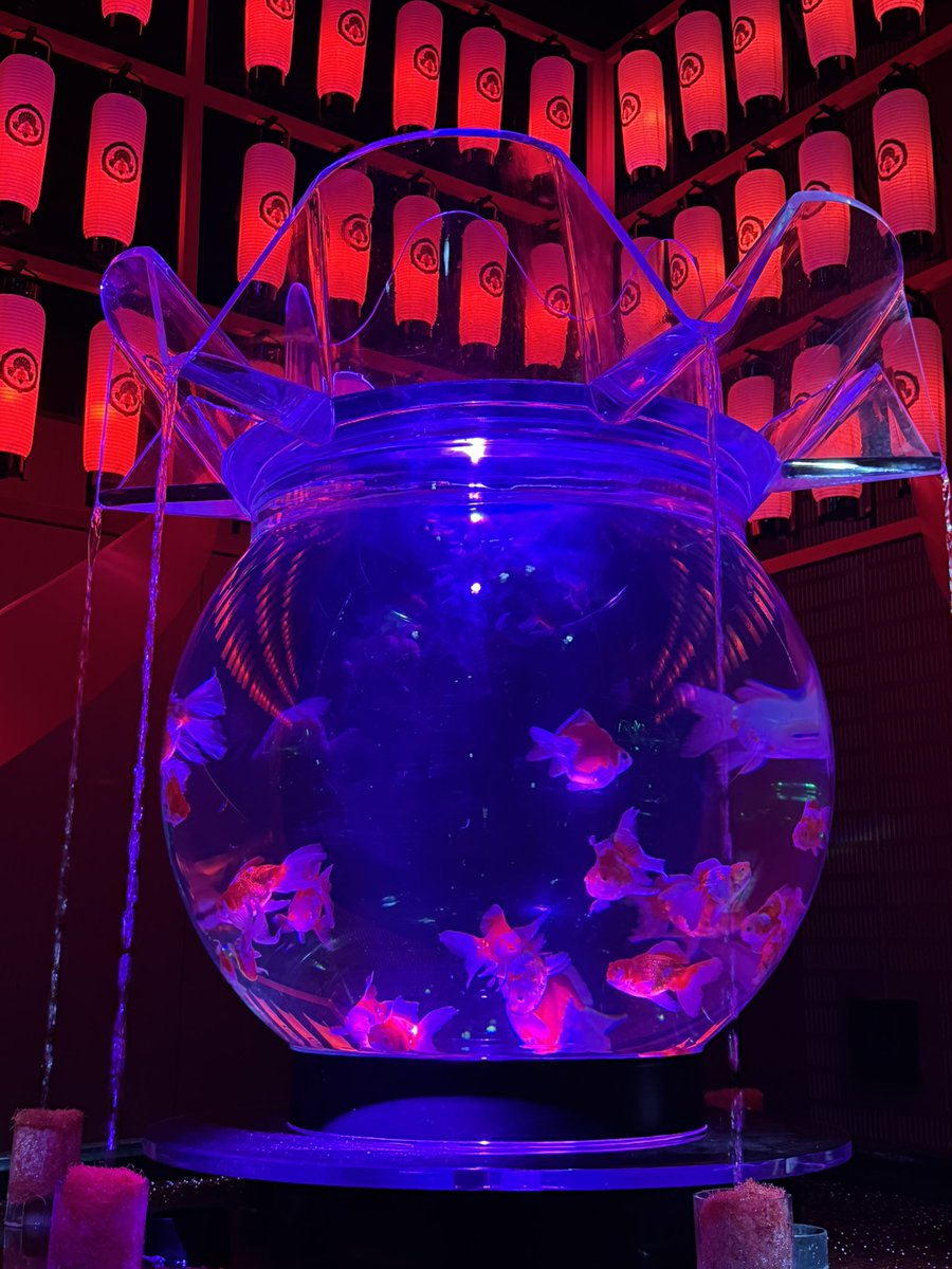 v_plants_base's tweet photo. 今日は栄に金魚見にきた🐟 https://t.co/C4zDRxf53s