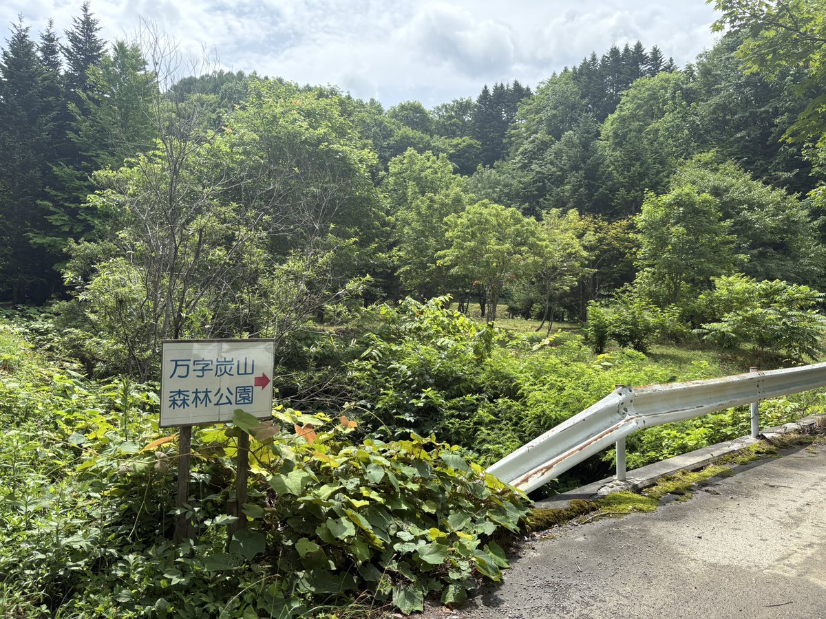 k_naruse's tweet image. ゆるく楽しくフワッと散策
