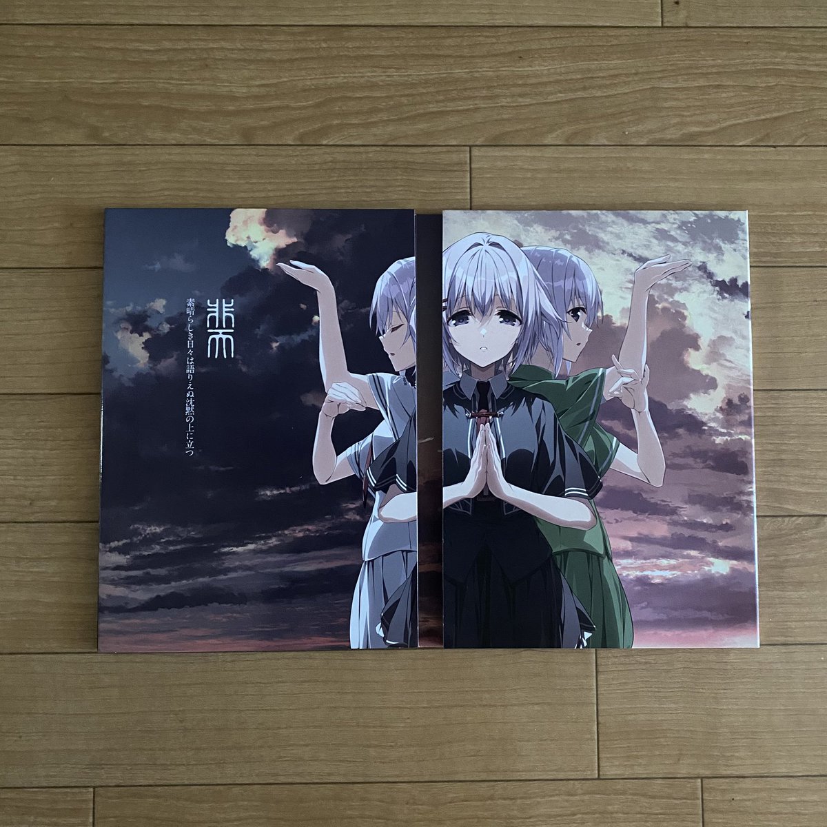 素晴らしき日々 ～不連続存在～ 15th Anniversary Edition届いた！この