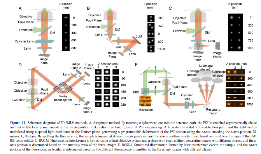 Orangeroad2017's tweet image. Our teamwork of the superresolution microscopy review in Science China Life Science is out. For those who are interested, please refer it here rdcu.be/ew0kE