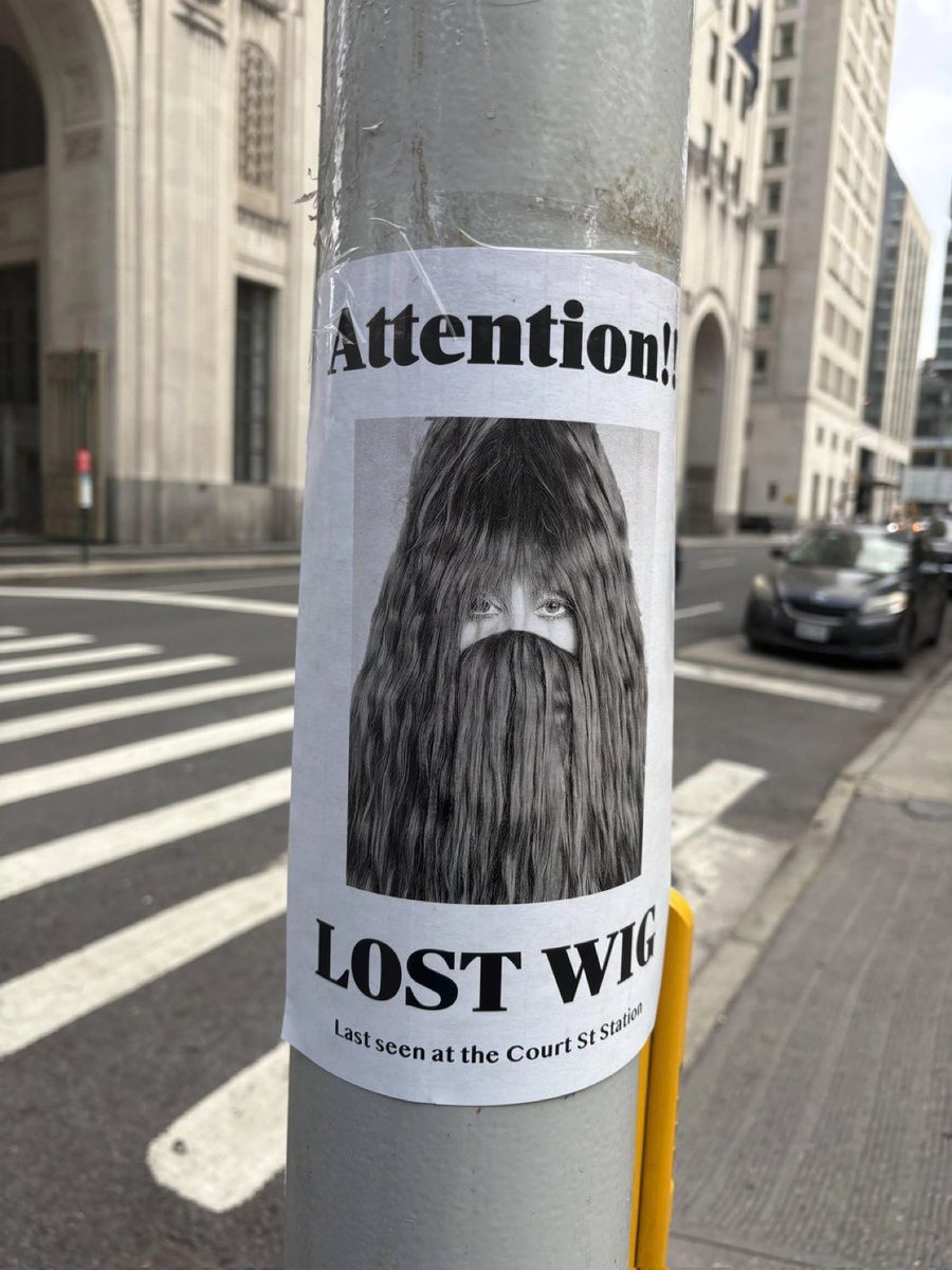 ChappellData's tweet image. 🚨THE SUBWAY IS COMING! Official Promotion Poster for The Subway
“Attention!!
LOST WIG
Last seen at Court St station”