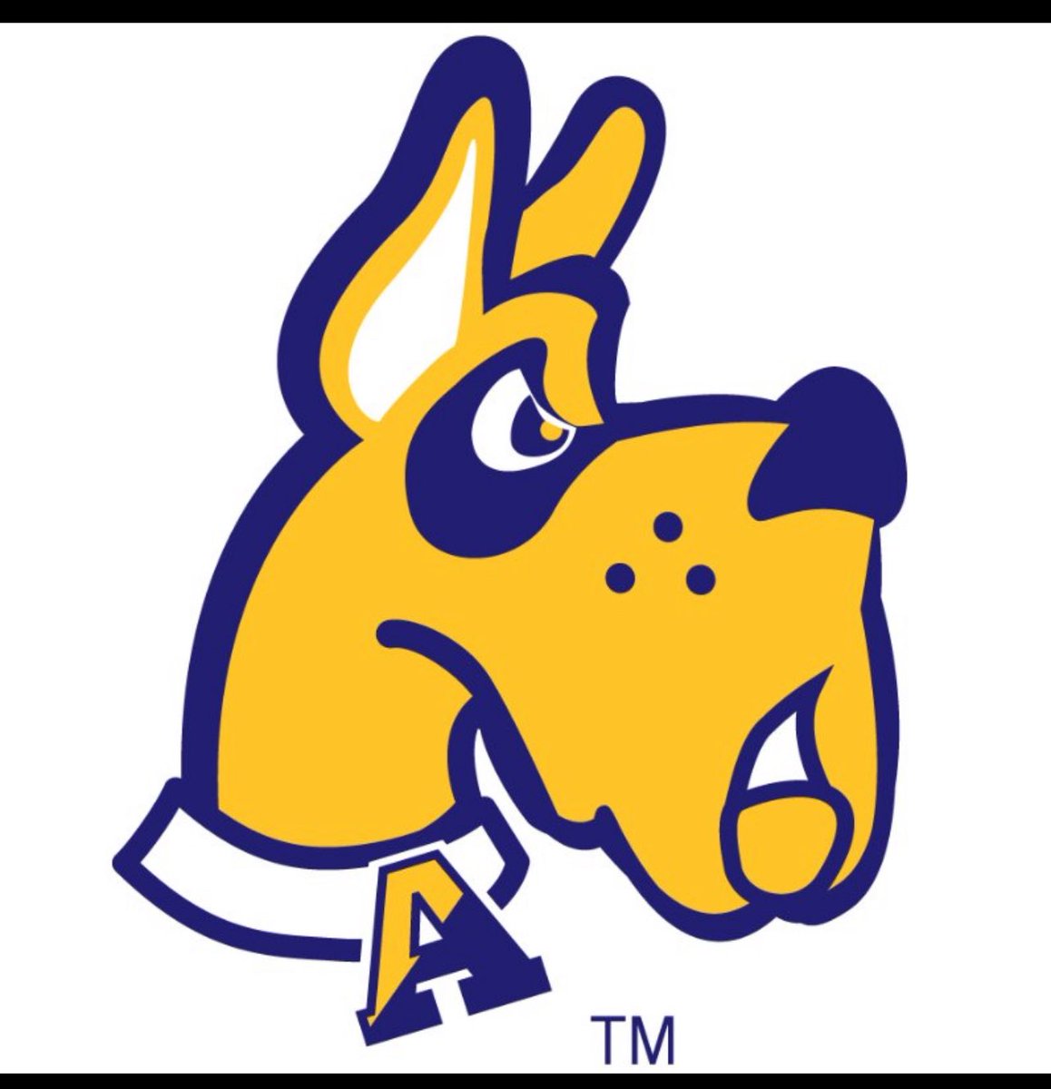 greysonpiercex1's tweet image. Blessed to receive my first offer from University of Albany! Thank you to Coach Killings and the rest of the staff for this opportunity!