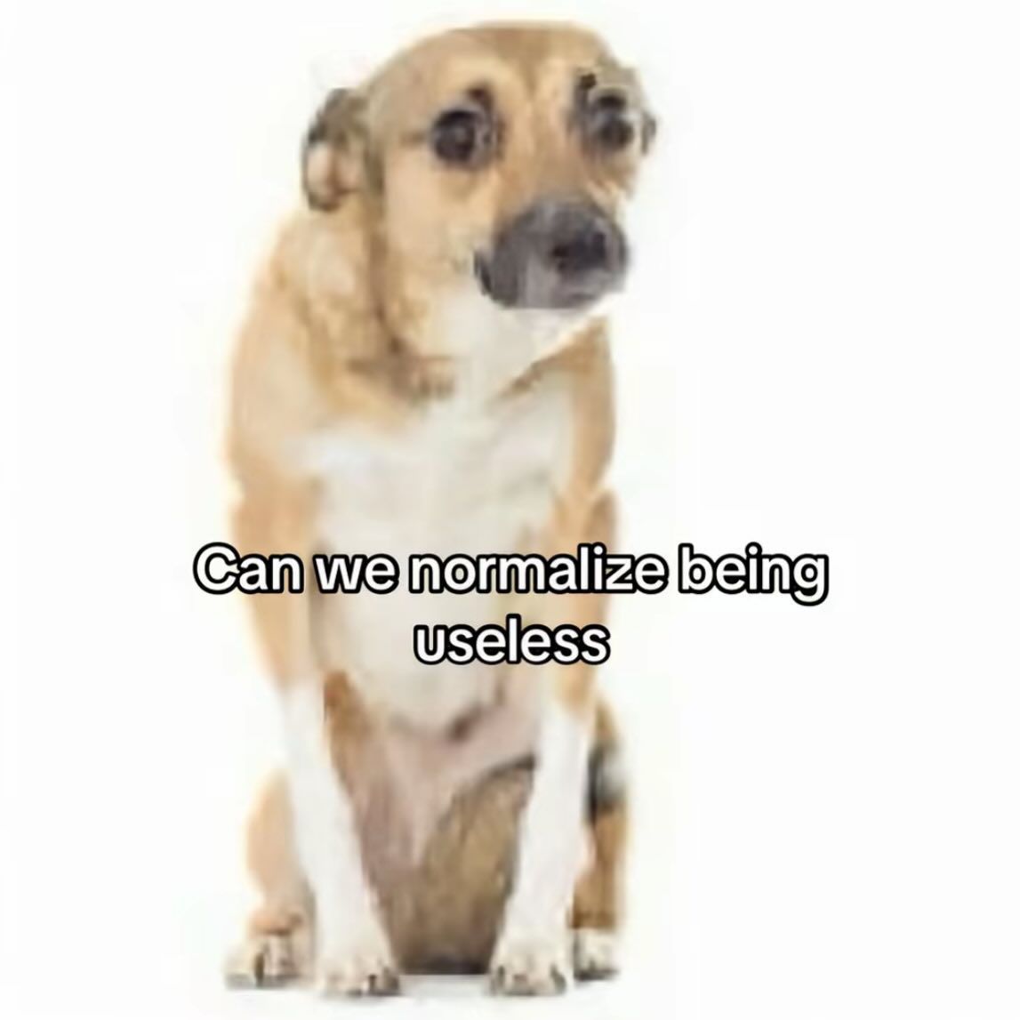 🕐HOURLY🕑 shitpost (@hourly_shitpost) on Twitter photo 