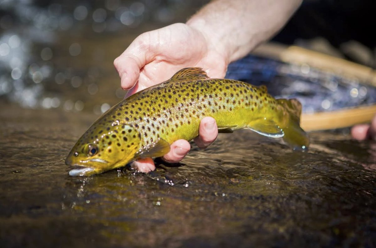 RepYourWater tweet media