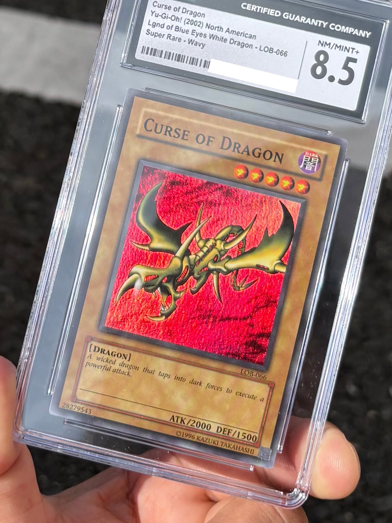 【良品】青眼の白龍　faded個体 良品】青眼の白龍faded個体