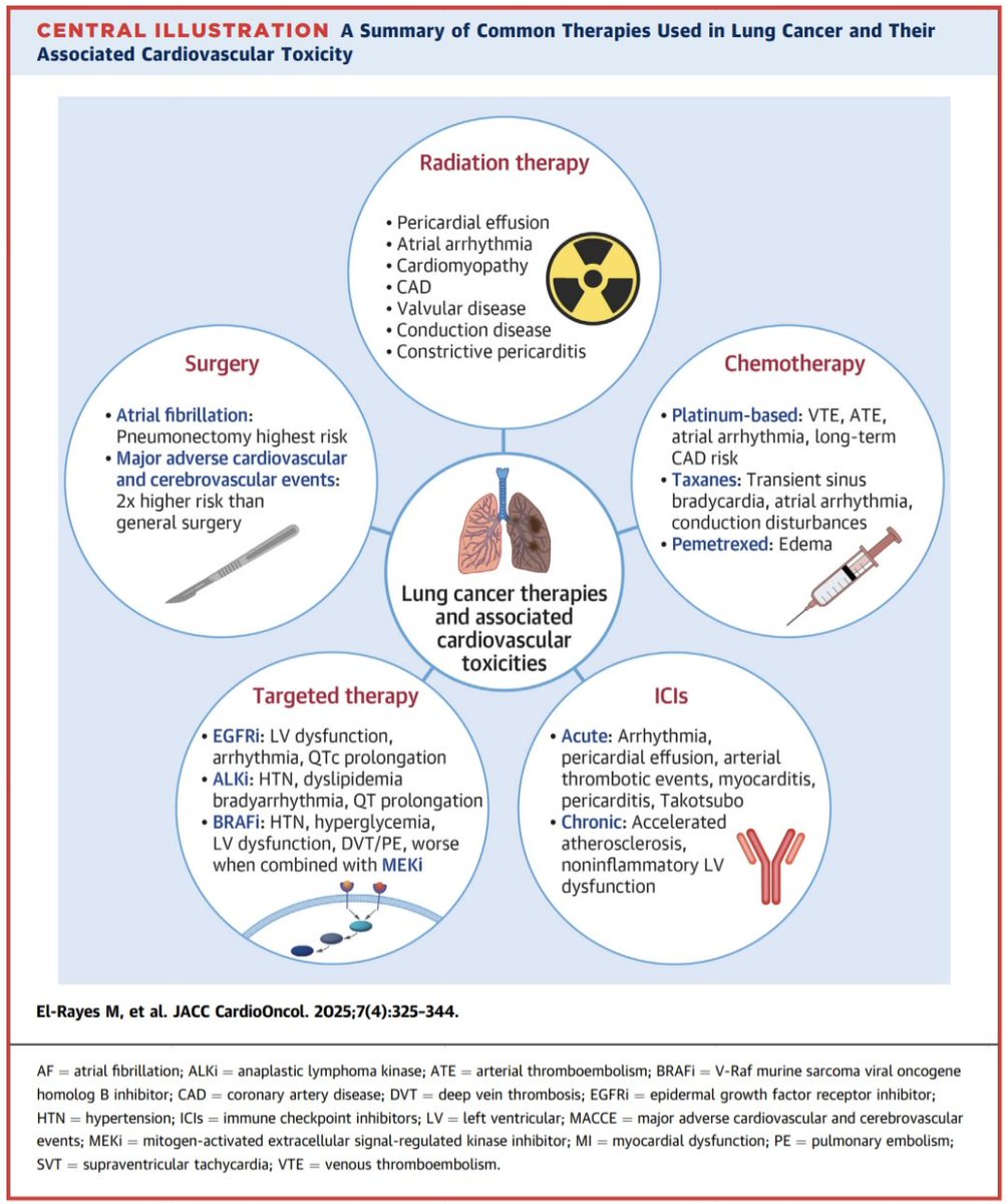 javier20ch's tweet image. Cáncer de pulmón &amp;amp; enfermedad cardiovascular. 🫁💥🫀
🔺️El Ca de pulmón y las enfermedades CV comparten factores de riesgo comunes (obesidad, HAS, DM2), siendo el tabaquismo el más importante. 📊🫀
🔺️Los pacientes con Ca de pulmón presentan una alta prevalencia de enfermedad…