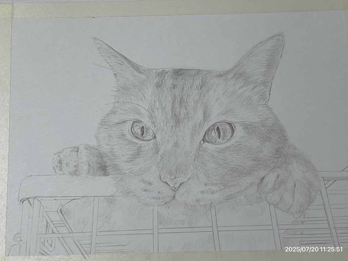 色鉛筆画「耳を傾ければSilent nightほら聴こえる」「秋めく」原画 猫 色鉛筆画「耳を傾ければSilent nightほら聴こえる」「秋めく