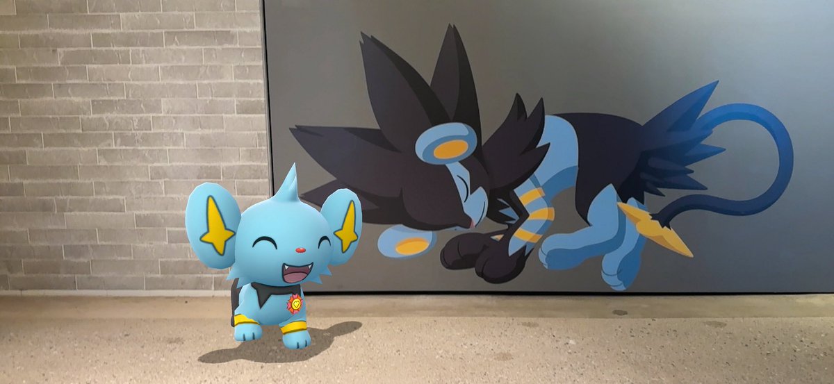 kuuma_photos's tweet photo. ポケモンスリープの渋谷イベントに行ってきた！
渋谷のいたるところでポケモンが寝てて可愛いかったよ〜😪💕
#ポケスリ2周年 https://t.co/2oPFCmYQLA