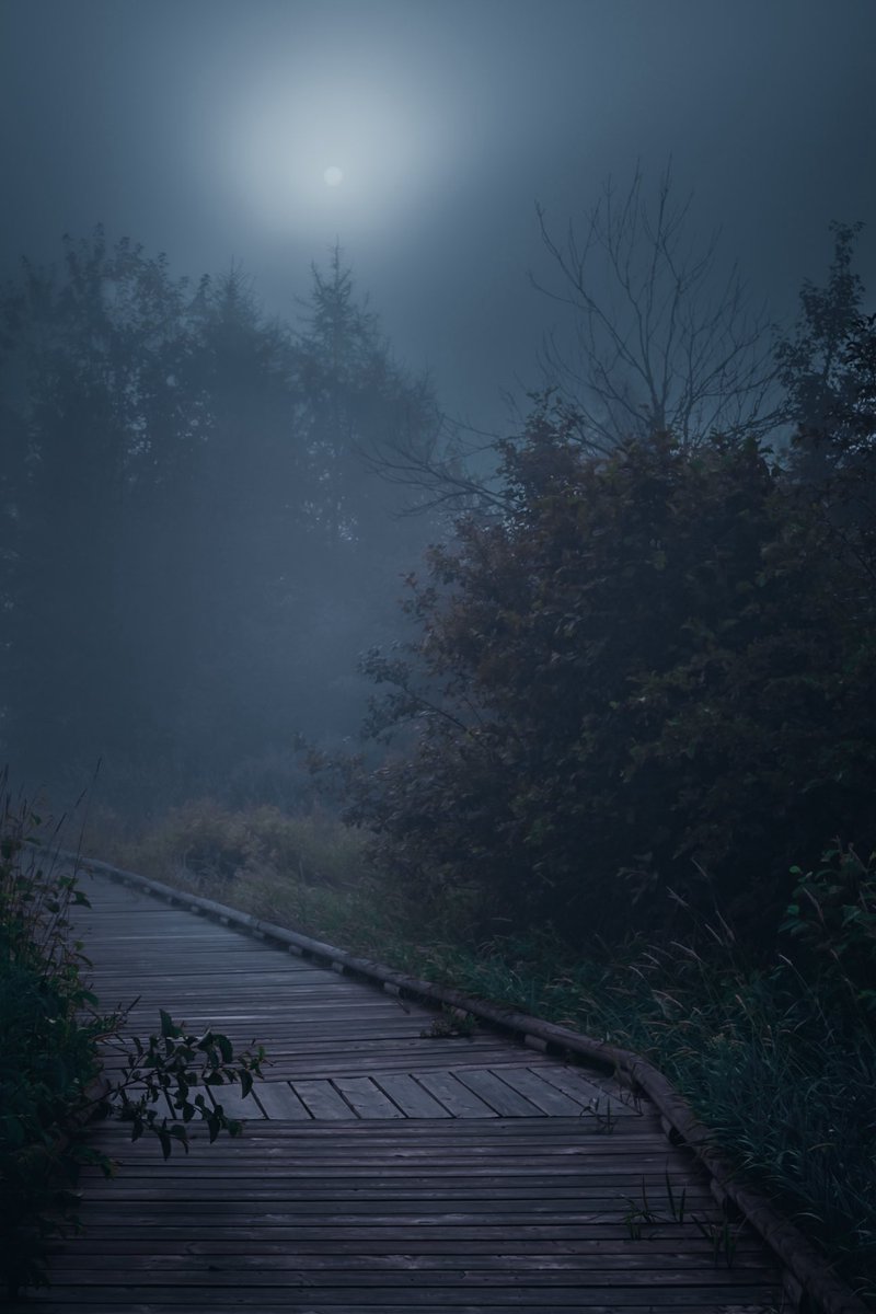 Loki Highlock (@lokihighlock) on Twitter photo 