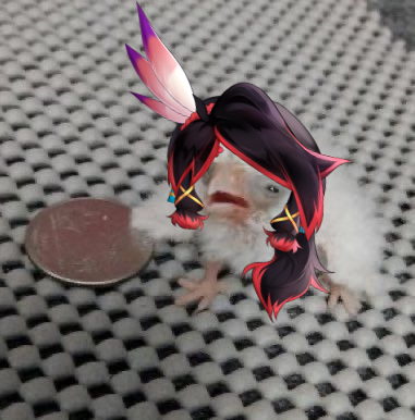 Recording and editing stuff today