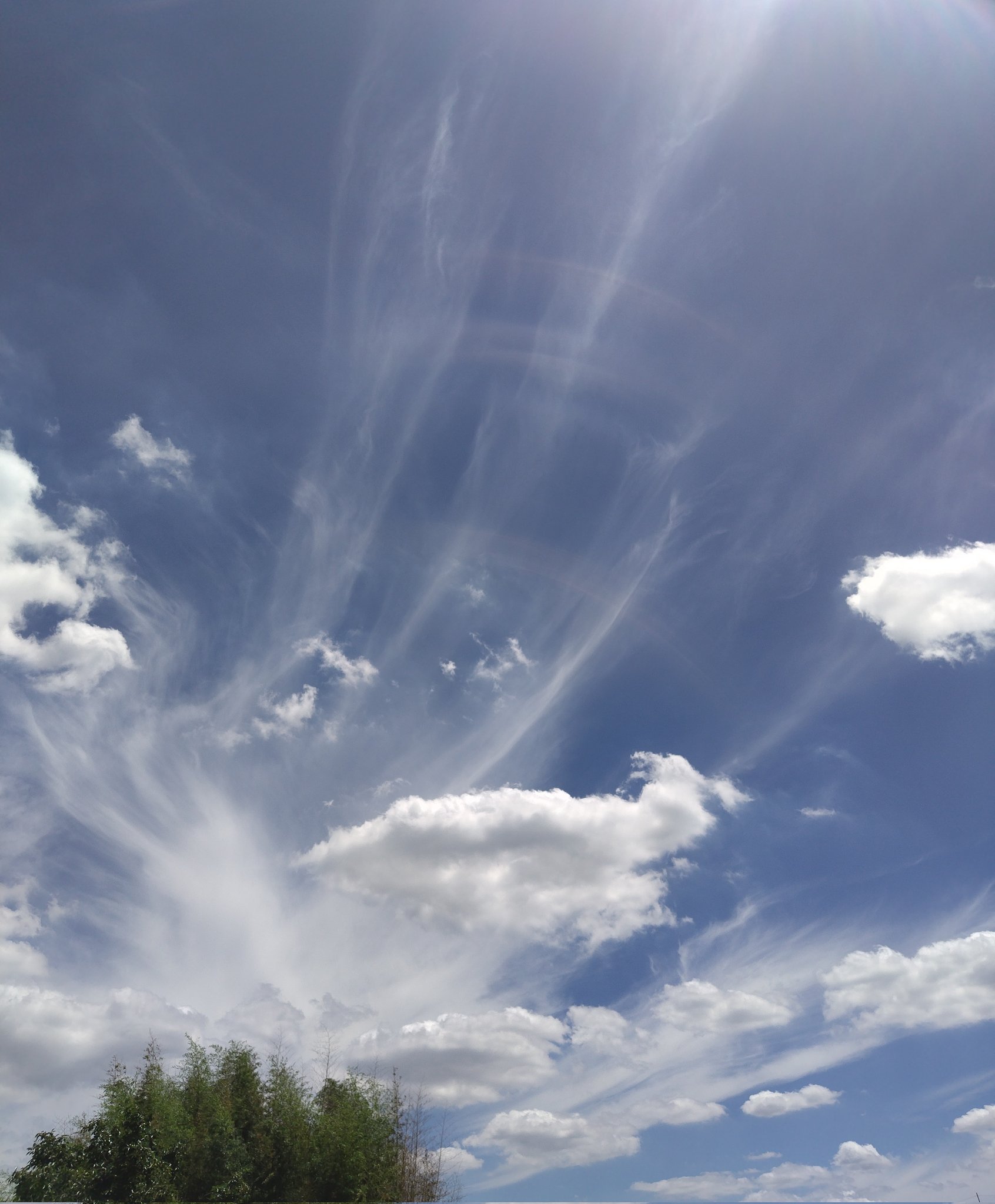 DREAMS FLOAT 青空と白い雲 ふ on X: 