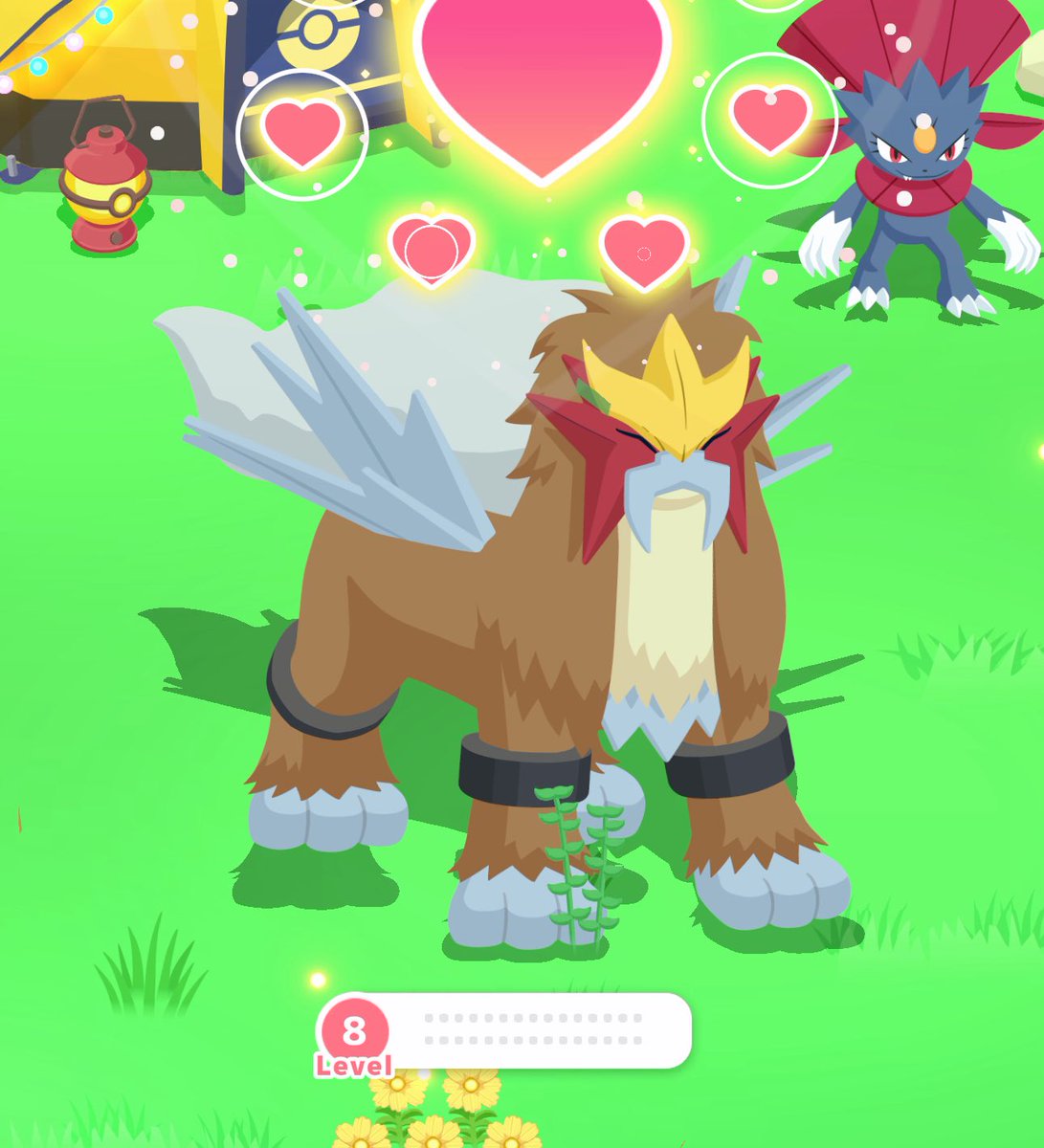 Crazy luck 
#PokemonSleep2nd