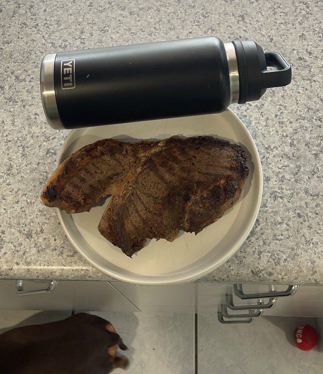 DrimVT's tweet photo. Who thinks i need more protein 1.4L yeti for comparison https://t.co/a5pMcXy5E5