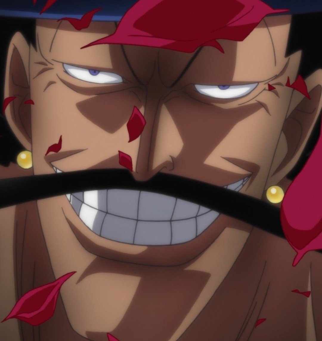 Khaled71697's tweet image. > Shows up in the story once
> Ruins Mihawk's agenda beyond repair
> Is never seen again