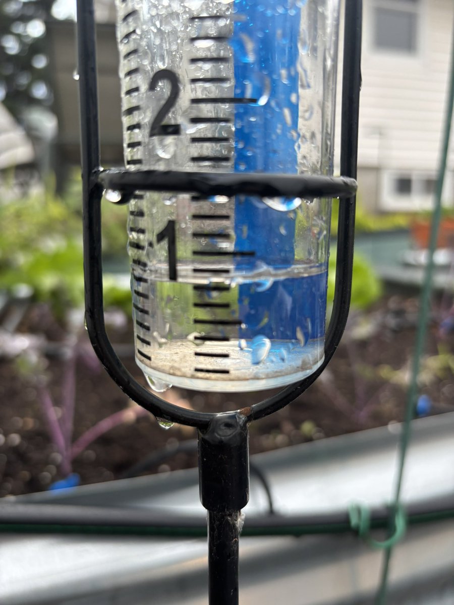 Another nice July rain in NE side of Swift Current today and still coming!