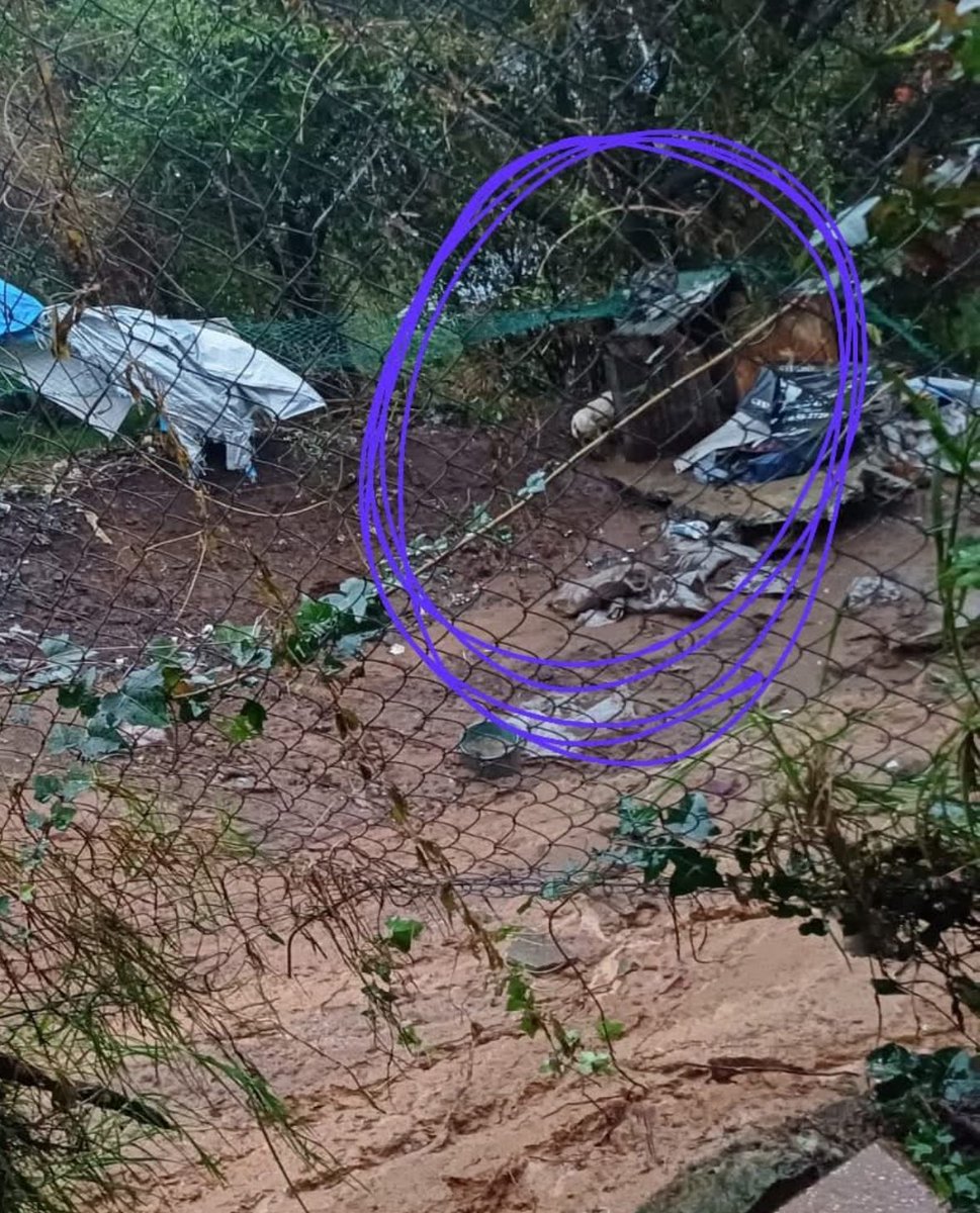 Morenita (@morenamia25) on Twitter photo .<a href="/JefeVulcanoCova/">Jefe Vulcano Cova</a> 🛑PERRO ATRAPADO EN DESLAVE EN MAGDALENA CONTRERAS🛑
Debido a las lluvias, un perro se encuentra atrapado entre los escombros, ya que el patio de un domicilio ubicado en Cerrada Primera Ocote 6, Lomas De San Bernabe, 10350 La Magdalena Contreras <a href="/Bomberos_CDMX/">Bomberos Ciudad de México Oficial</a> .<a href="/JefeVulcanoCova/">Jefe Vulcano Cova</a> 🛑PERRO ATRAPADO EN DESLAVE EN MAGDALENA CONTRERAS🛑
Debido a las lluvias, un perro se encuentra atrapado entre los escombros, ya que el patio de un domicilio ubicado en Cerrada Primera Ocote 6, Lomas De San Bernabe, 10350 La Magdalena Contreras <a href="/Bomberos_CDMX/">Bomberos Ciudad de México Oficial</a>