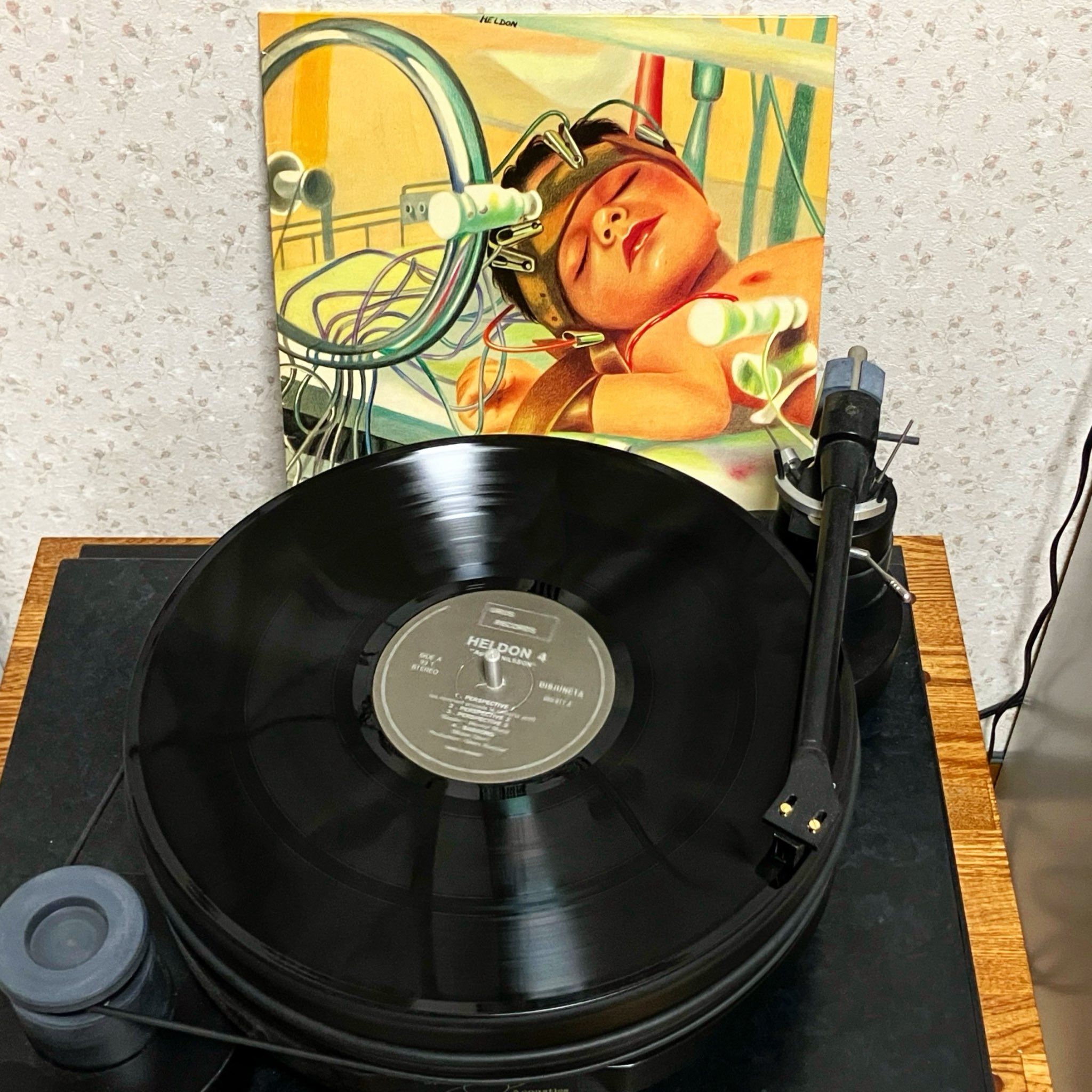 Garden アナログレコード 11/9(土)70's PUNK廃盤アナログセール -通販サイト出品中