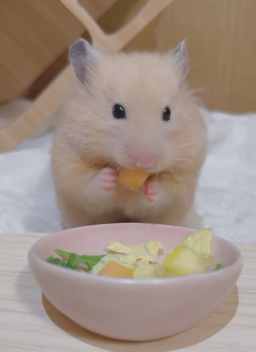 o3o2_sss's tweet image. 