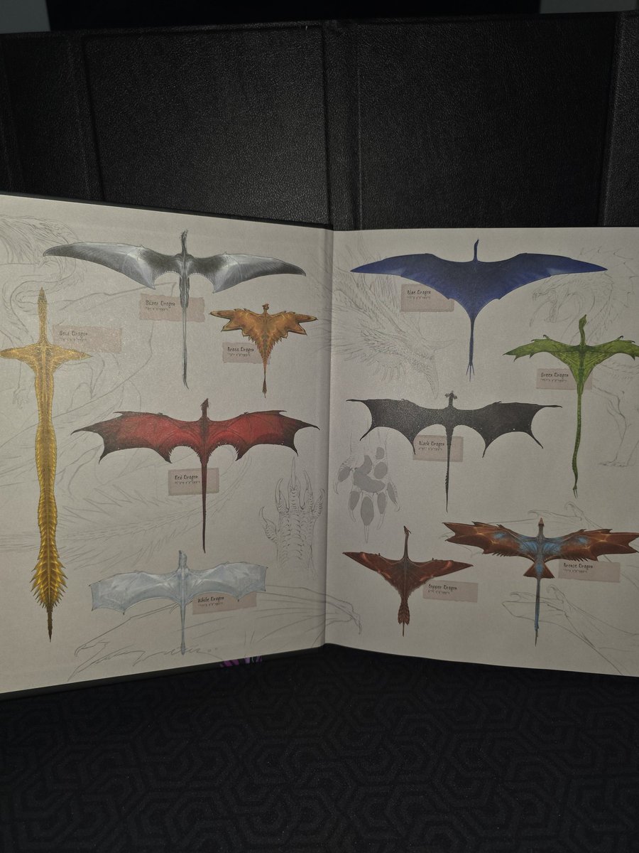 Erick-Destiny Dice🎲 🔜 #Rolentuidioma @megaxp tweet media