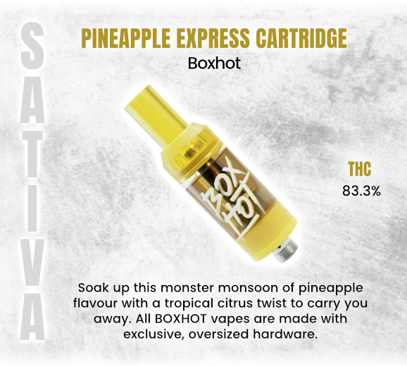 Social_GrandCan's tweet photo. *Informational Purposes*
#PineappleExpress #BOXHOTVape #TropicalHigh #CannabisVape #FlavorPacked #HighVoltageVape #VapeLife #THCClouds #WeedOnTheGo #VapeSessions #TerpChasers #BoxhotFlavors #PineappleTerps #SativaVibes #StayLit #GrandCannabis https://t.co/5zGYmqjrp9