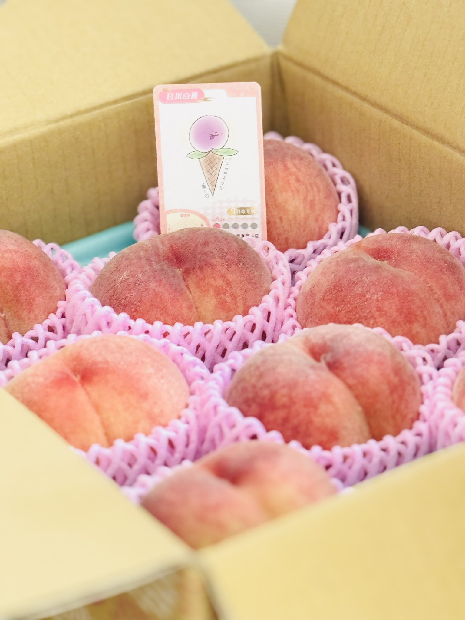 つむぎ♡ つむぎお嬢様🐱 | . 可愛い可愛い食パンツム子🍞🩷 お首？おアゴ