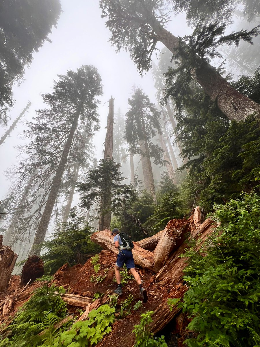 BenjiBacker's tweet image. Another magical Saturday in U.S. Forest Service land, owned and protected by the American people