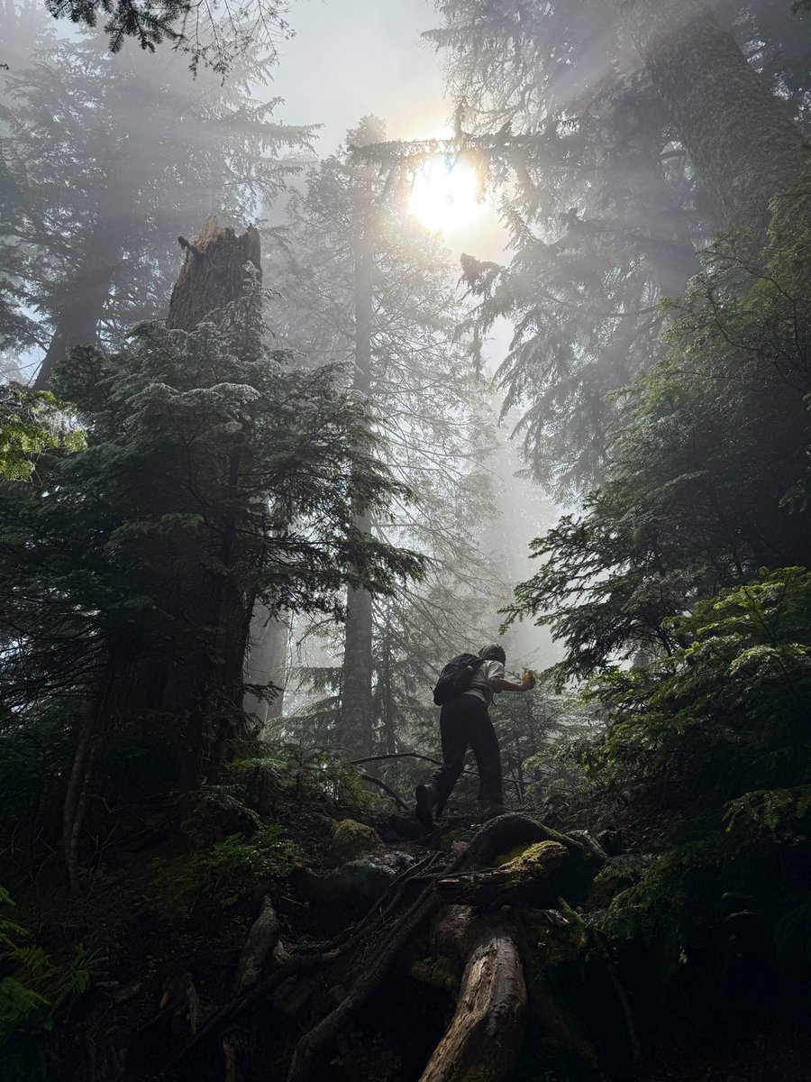 BenjiBacker's tweet image. Another magical Saturday in U.S. Forest Service land, owned and protected by the American people