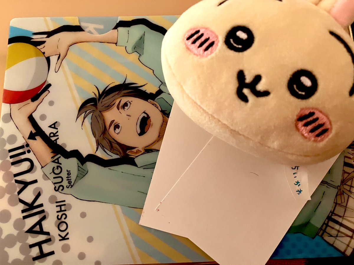 ネコさん専用 猫さん専用 にゃんさん専用品 A-YANさん専用 YAN さん専用 ZX｜