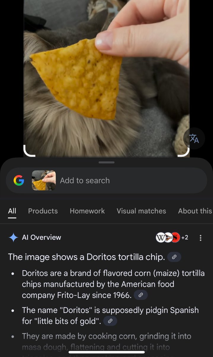 WHY DOES EVERYONE SAY I HAVE “DORITOS SHAPED FACE “ 😠😠😠