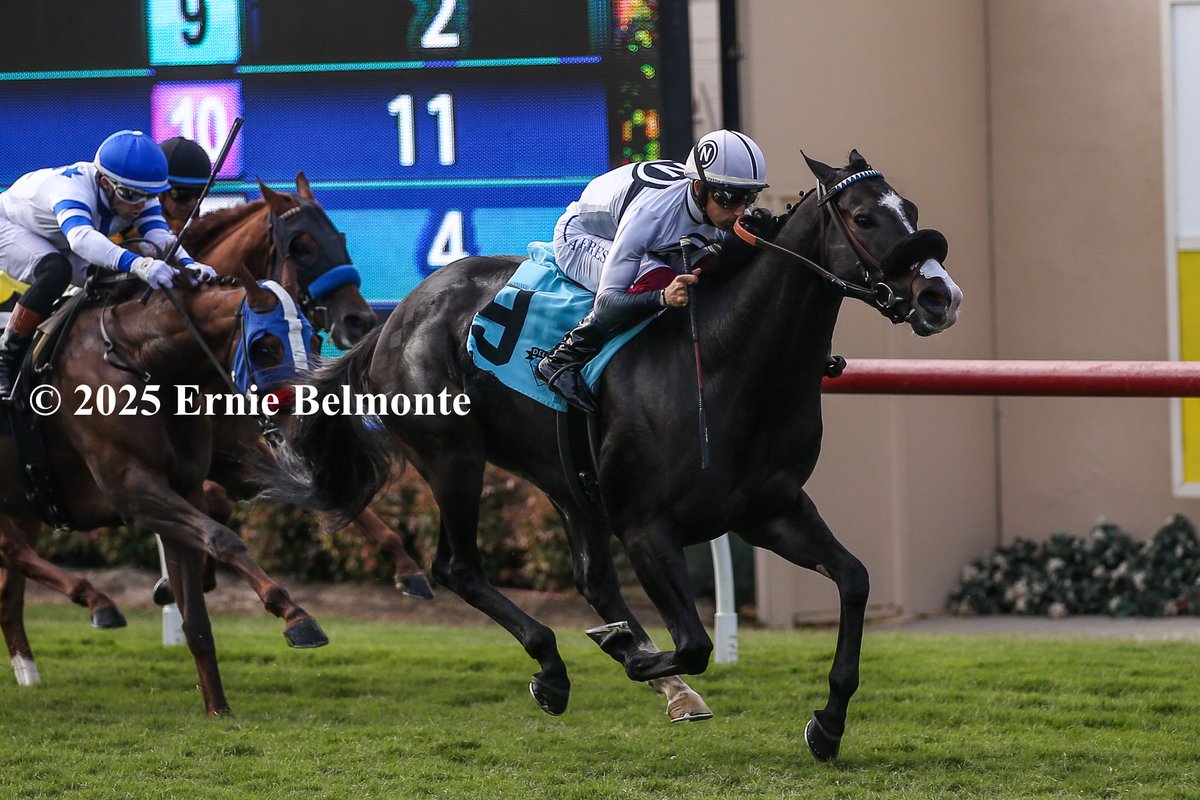 Almendares wins the Wickerr.