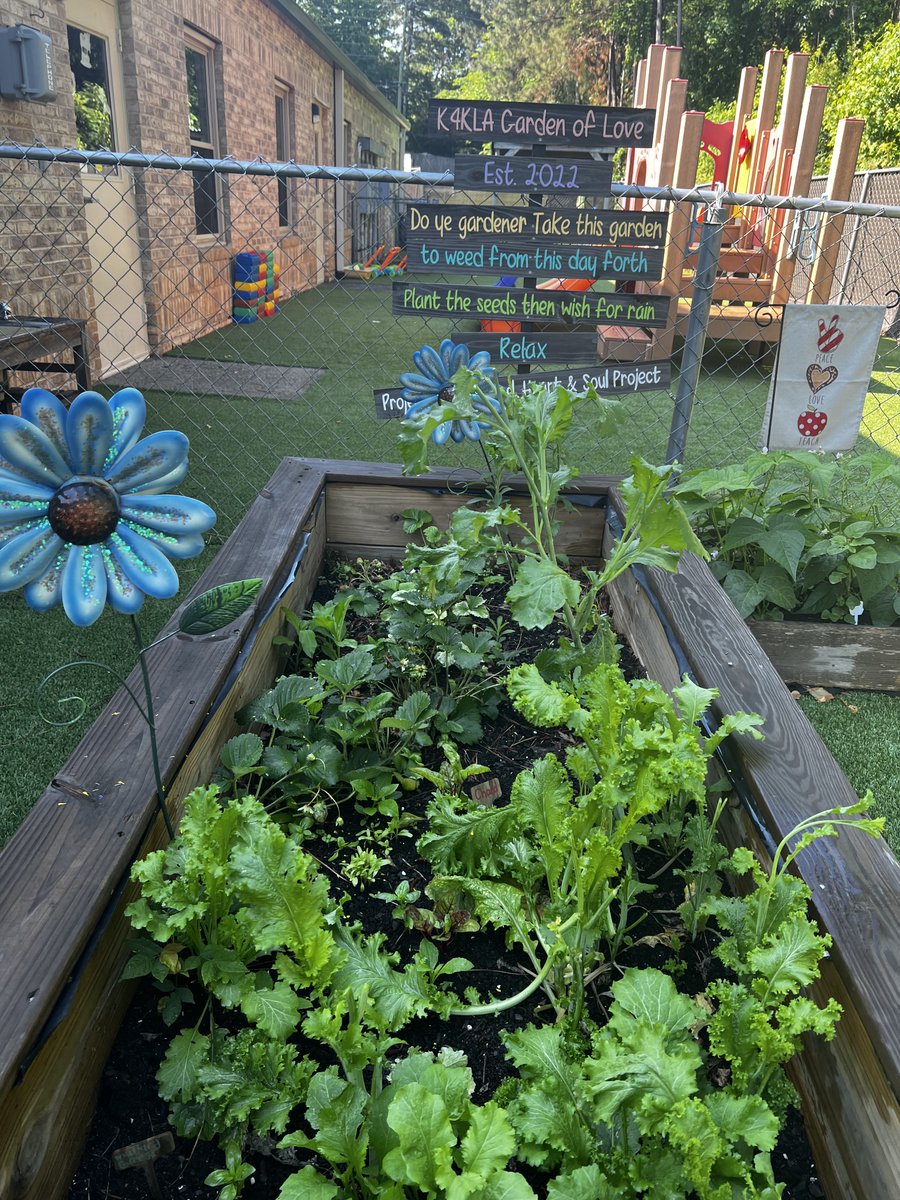 Hand, Heart, and Soul Project tweet media