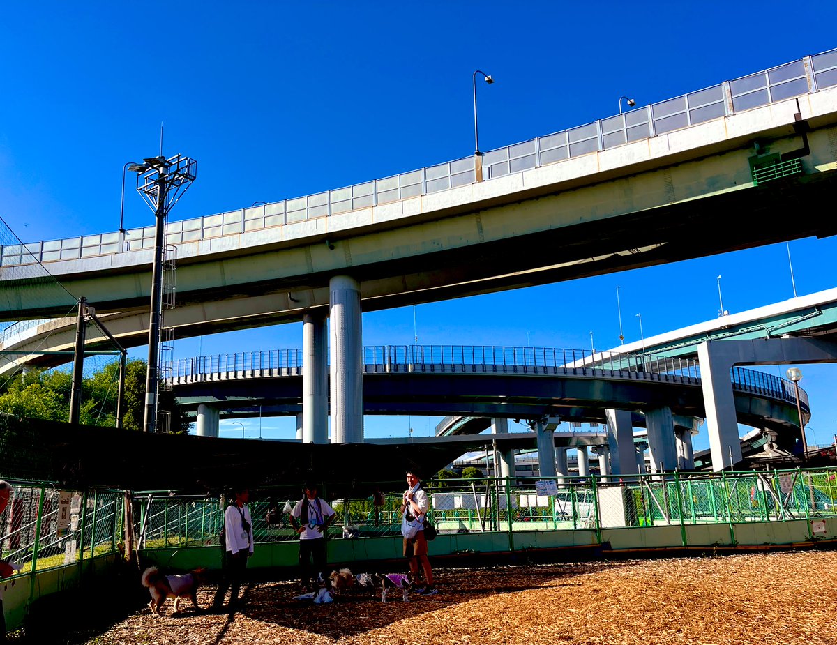 fukayaqui's tweet photo. 7am this morning. After/Before vote 🗳️ 

Hear some siren above us on Yokohama Aoba Tomei highway, 7 cars accident. Just another typical scene on long weekend. T/care &amp; drive safe!

#SundayMorning #summerskies 
#選挙の日 #青空 https://t.co/VRPCvtD3g2