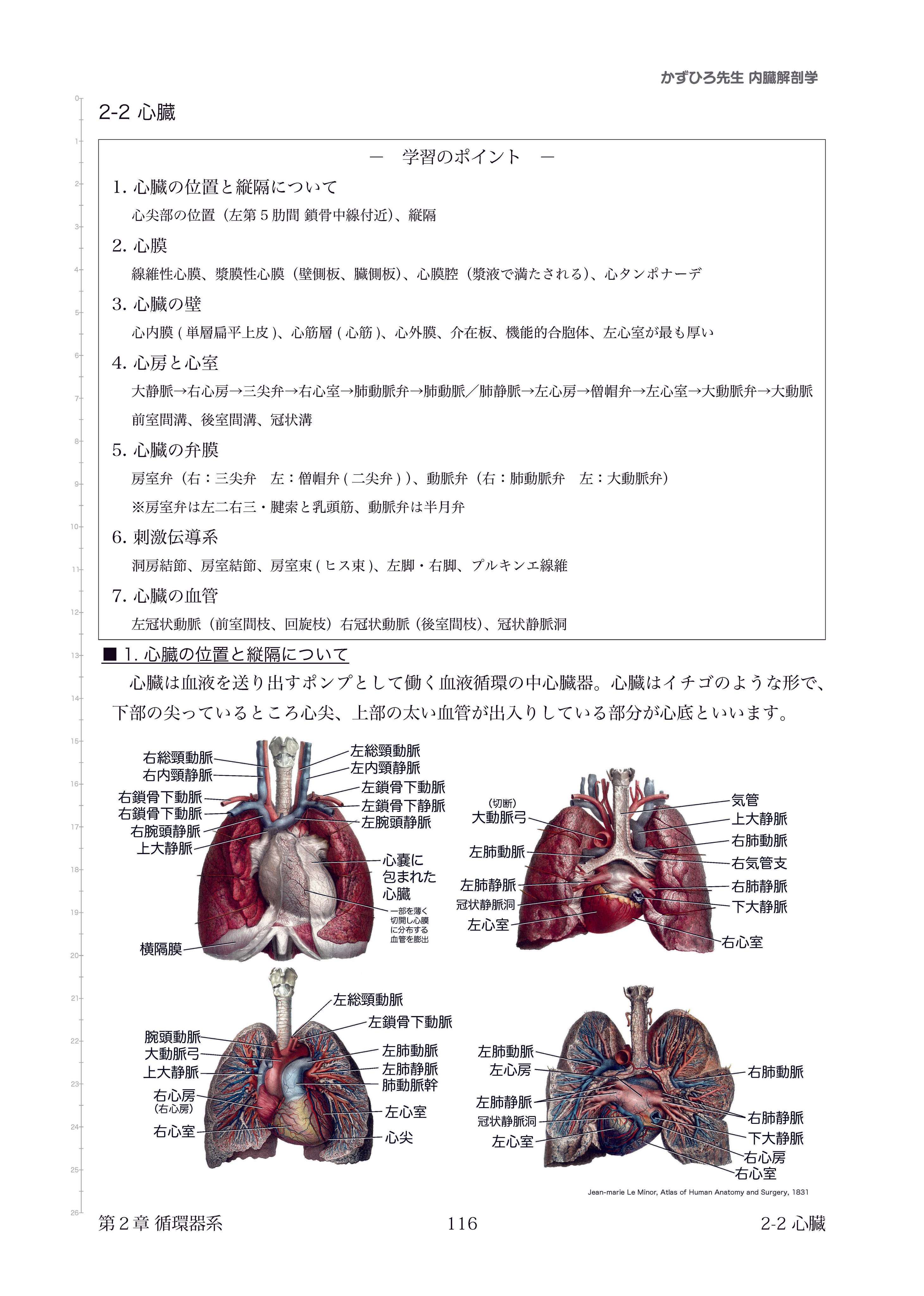 黒澤一弘（かずひろ）解剖学IT教育・指圧師・ラダック on X