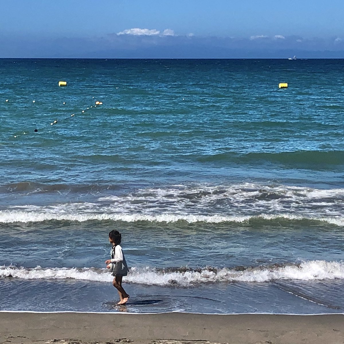 4_yon_fox's tweet image. 投票に行った✨
そして海へ☀️