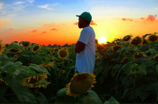 July 20th, 2017. 

Happy 8th anniversary to Tyler, The Creator's "Flower Boy". 🌻🐝🌄