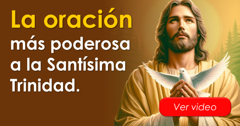 oracion_milagro's tweet photo. LA ORACIÓN MÁS PODEROSA A LA SANTISÍMA TRINIDAD: Santísima Trinidad, por favor guía todos mis pasos, fortalece mi espíritu, derrama tu gracia sobre mí y concédeme una vida colmada de inmensa paz, bienestar, plenitud y milagros.

Continua orando en: https://t.co/ZulyIXlcLT 🌿