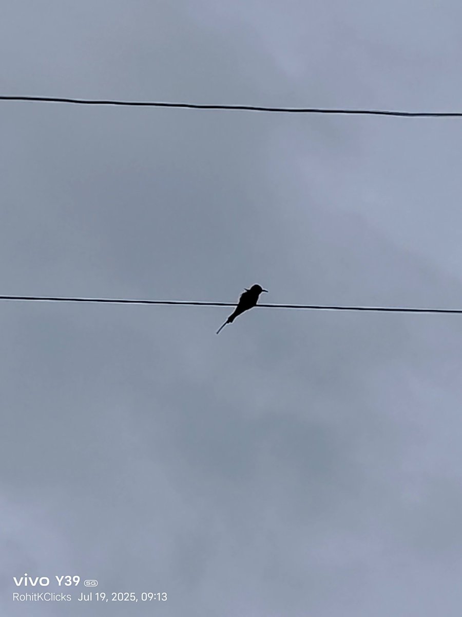 ROHITKUMBHOJKAR's tweet image. Adding to the Natures Beauty was the Presence and #Chirping of the #Birds.It was an Non Stop activity going on to give  the Ears enjoy the Natural Melody far away from the Vehicular Honking,Pollution keeping the Air Fresh.
#RohitKClicks
5/n