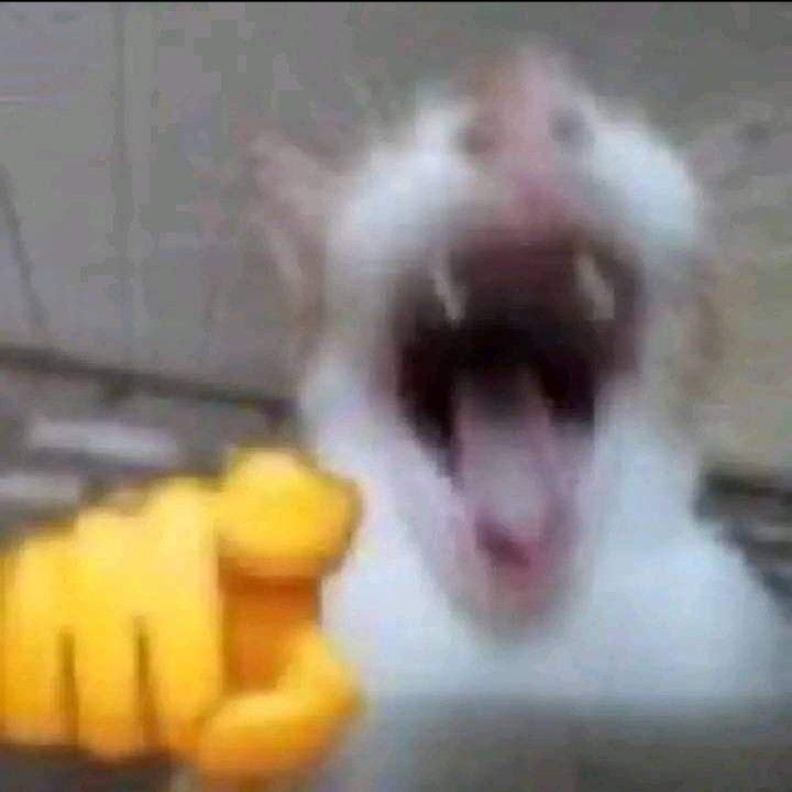 LechuGrass86's tweet image. Mano me hackearon xdd