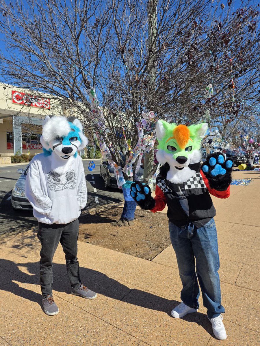 LJ Floof 🇦🇺 🔜 Furdu2026 tweet media