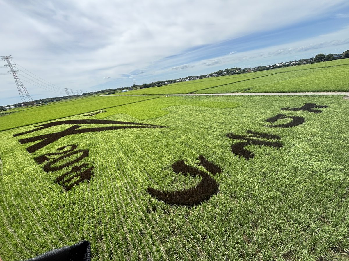 macgyver_k's tweet image. こんにちは☀️
昨日の帰り道に確か去年はこの辺に小さな田んぼアートがあったなと思いながら走ってたら、今年もありましたので立ち寄りました🏍️
展望タワーが正面側じゃないのでまた斜め撮りですが😅
今日も暑いので熱中症にはご注意を🫡
#つくばみらい市
#田んぼアート