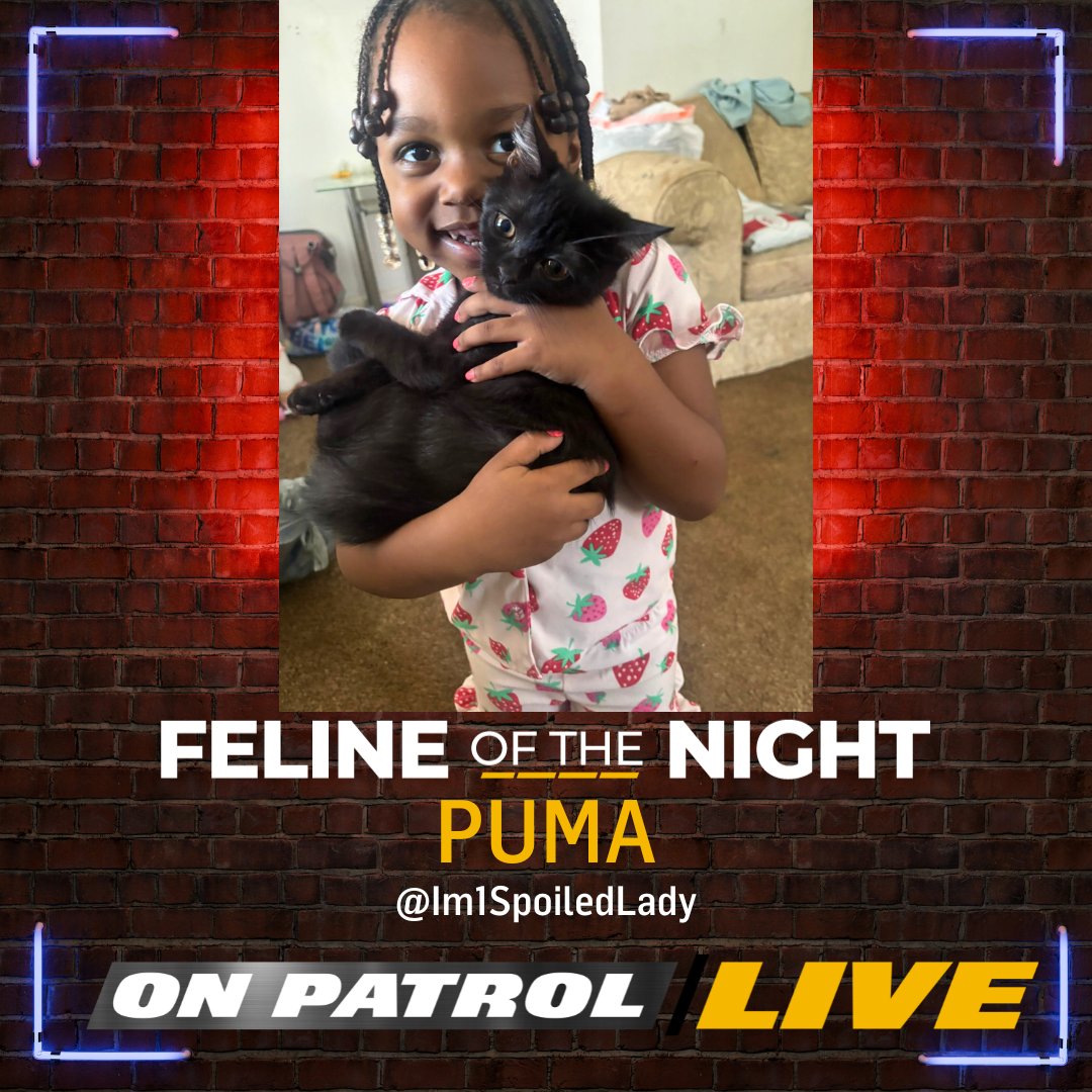 OfficialOPLive's tweet image. Congratulations @Im1SpoiledLady, PUMA is tonight's #OPLive #FelineoftheNight! #REELZ #OPNation