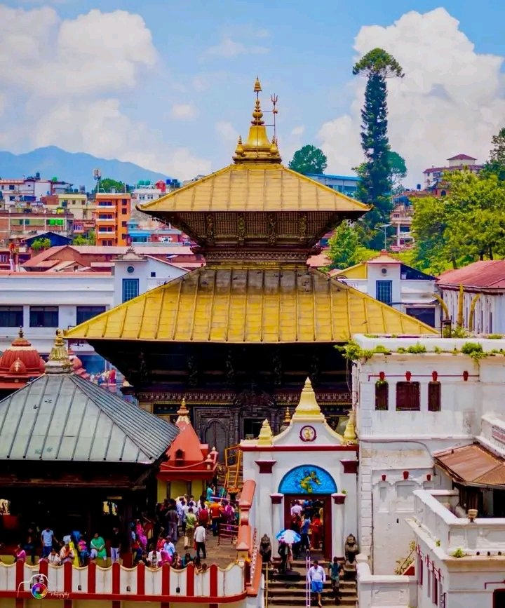 🙏🕉️ पशुपतिनाथले हामी सबैको रक्षा गरुन्
जय शम्भो...! ❤️✨

शिवको कृपा जहाँ हुन्छ, त्यहाँ डर, दुःख र विघ्न केही पनि टिक्दैन । शिवको नाम लिनुहोस् — मनमा शान्ति, जीवनमा गति, कर्ममा शक्ति मिल्नेछ ।

🌿 हर हर महादेव
🛕 ॐ नमः शिवाय

#जयपशुपति #शिवभक्त #Shambho