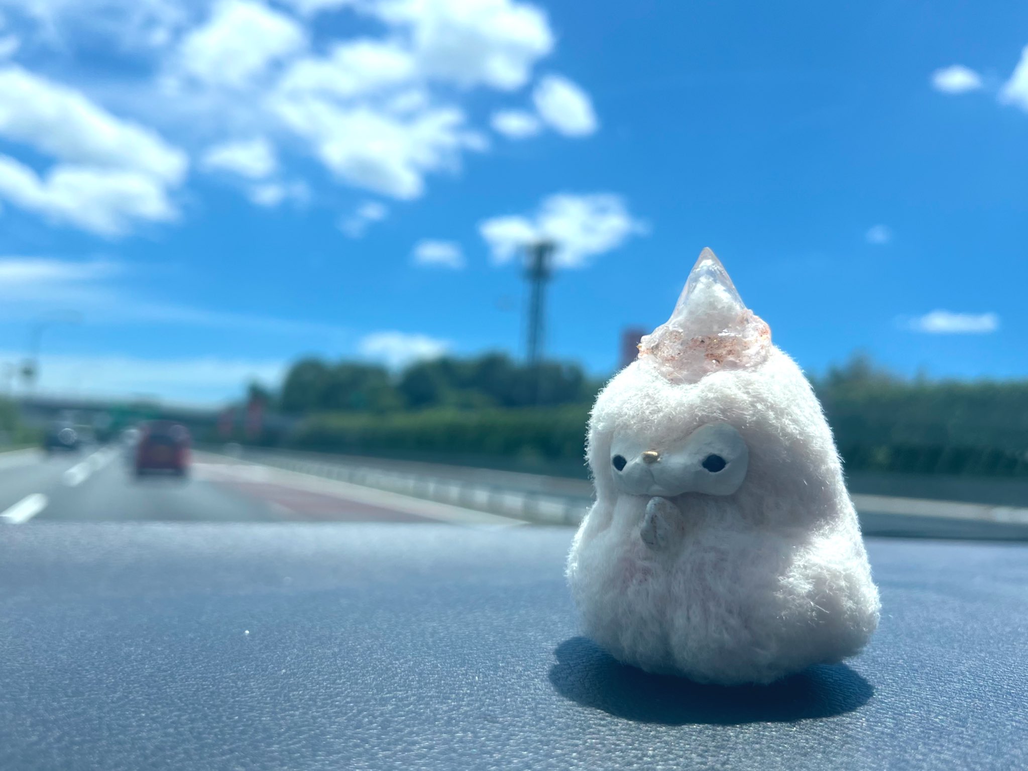Sayaka Kobori(コボリサヤカ)◇個展8月21日～LUPOPOカフェ