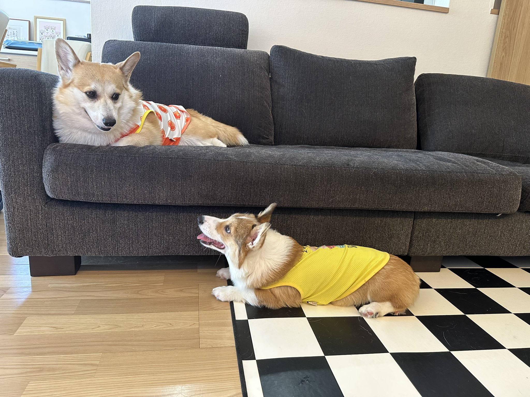 コーギー ワンちゃんのフィギアストラップ REAL DOG ウッドストラップ