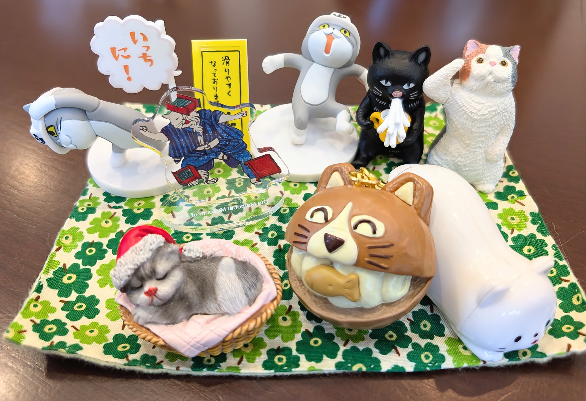 猫C 画像 1 + 14 最終値下げしました！ 黒猫@( 後角ゼラちゃんの姿🦎❤︎ ) on X: 