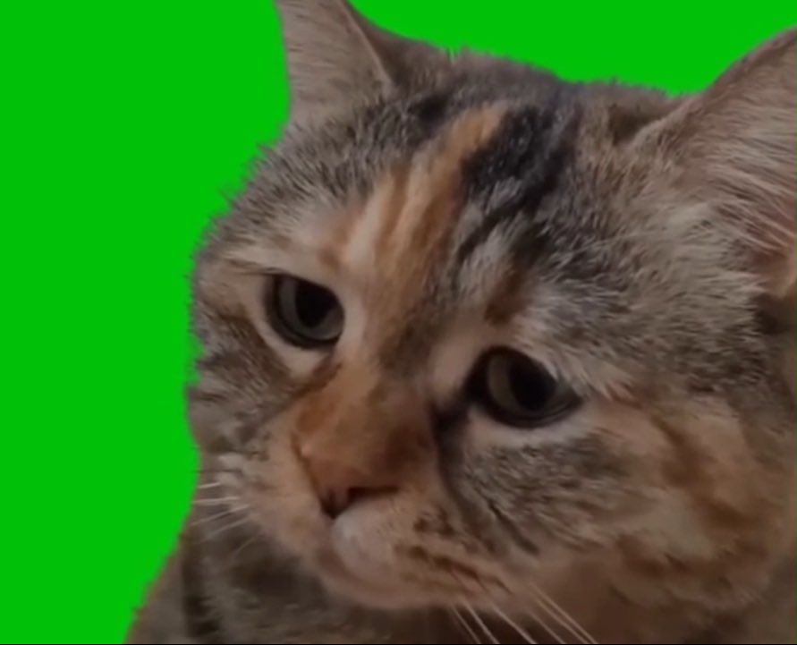この場面の金箔さんのお顔がしょんぼり猫にしか見えない呪いにかかりました