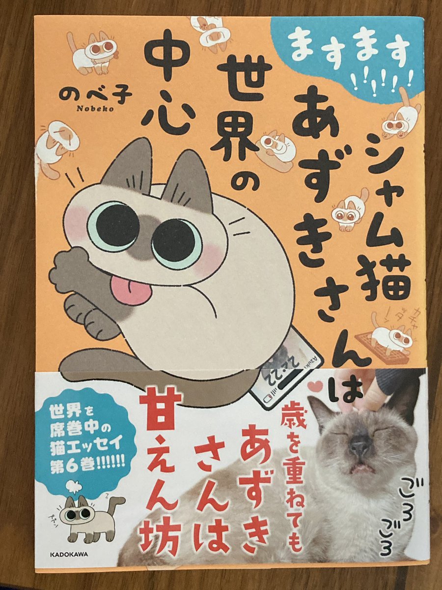 ふんばり親子猫　三毛猫 ちったん。 | おはようございます 今朝の三毛猫親子 顔あんまり